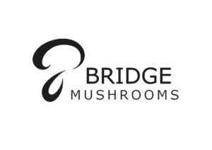 Web-Designer-Northern-Ireland-McCabe-Graphics-Bridge-Mushrooms