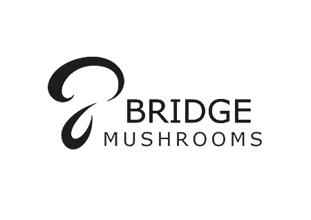 Web-Designer-Northern-Ireland-McCabe-Graphics-Bridge-Mushrooms